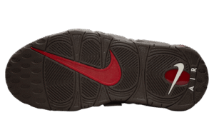 ipad_nike-air-more-uptempo-96-baroque-brown-pale-ivory-0